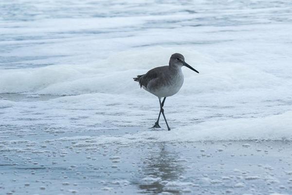 Beach Quarters Daytona Wilbur-by-the-Sea 外观 照片
